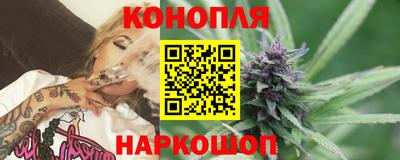 сатива Гатчина