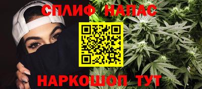 сатива Гатчина