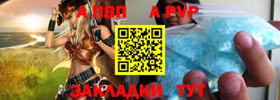 индика Гай