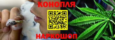 индика Гай
