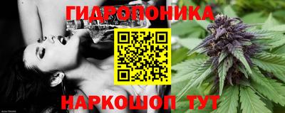сатива Гатчина