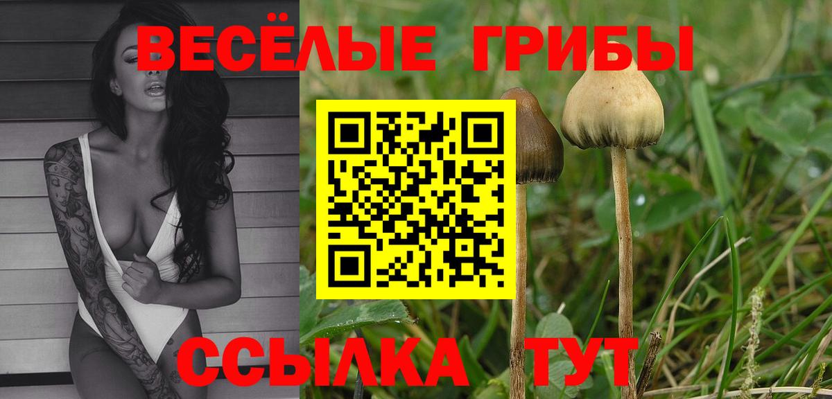 Псилоцибиновые грибы GOLDEN TEACHER Канск